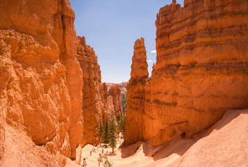 landscape on the bryce canyon in the united states of america