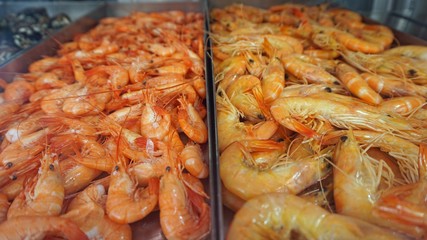 fresh fish in a restaurant window in lisbon
