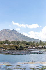 Naklejka premium Active Indonesian volcano Batur on the tropical island of Bali. View of great volcano Batur. Beautiful landscape. Indonesia.