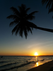 Sunset with silhouettes of palm trees over South China sea