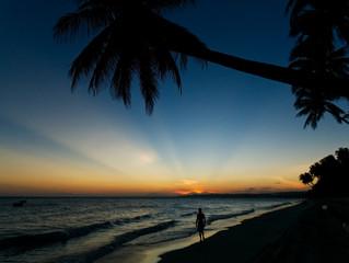 Sunset with silhouettes of palm trees over South China sea