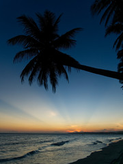 Fototapeta na wymiar Sunset with silhouettes of palm trees over South China sea