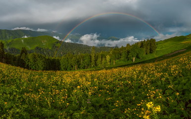 Fototapeta premium Mountain rainbow. Rainbow after the rain. Summer day in the Western Caucasus.