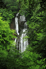 Obraz premium waterfall Güzeldere 