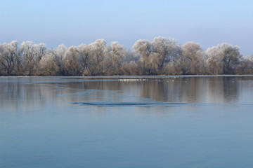 Winterlandschaft - Kälte und Schnee
