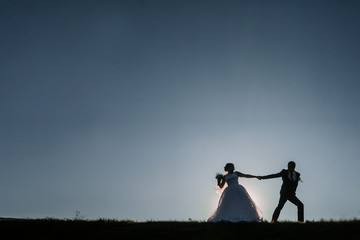 Silhouette of the bride and groom against nature