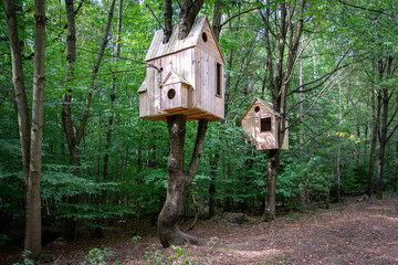Haus im Baum / Baum im Haus