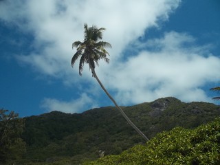 Seychellen 