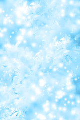 Abstract spring background with blurred white flowers, easter floral image with copy space. Springtime concept.