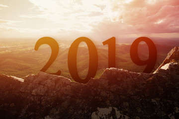 Silhouette Happy for 2019 new year on stone with sunset backgroung