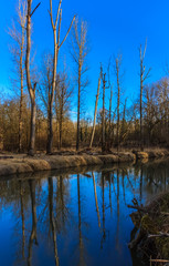 Obraz premium Beautiful view near the Grieshaus-Moos-Bavaria-Germany