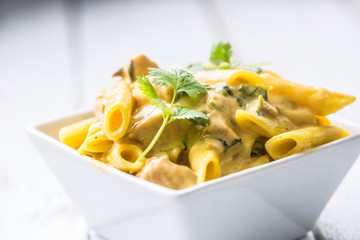Pasta pene with chicken pieces mushrooms parmesan cheese sauce and herb decoration. Pene con pollo - Italian or medierranean cuisine
