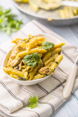 Pasta pene with chicken pieces mushrooms parmesan cheese sauce and herb decoration. Pene con pollo - Italian or medierranean cuisine