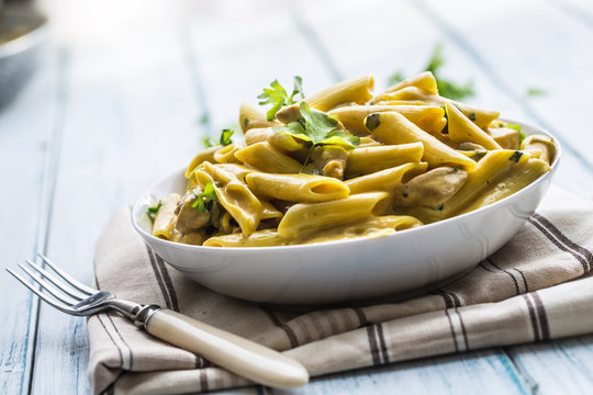 Pasta pene with chicken pieces mushrooms parmesan cheese sauce and herb decoration. Pene con pollo - Italian or medierranean cuisine