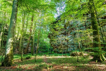 Forêt Mullerthal Trek Randonnée, Luxembourg