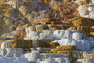 Mammoth Hot Springs is a large complex of hot springs on a hill of travertine in Yellowstone National Park