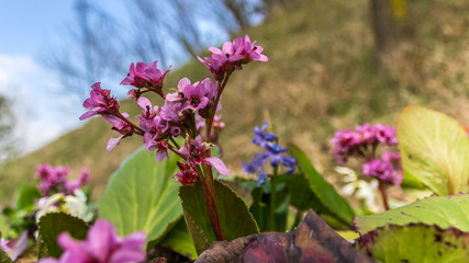Beautiful view near Schwarzwoehr-Bavaria-Germany