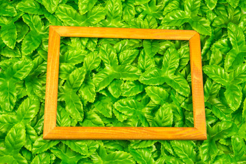 Wooden frame around green leaves on background. Blank for advertising card or invitation.