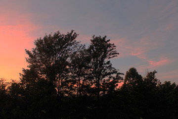 Sao Paulo - Campinas 2