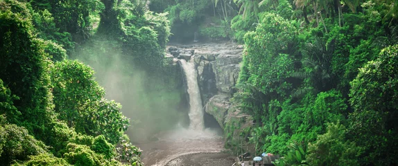 Fototapeten An exotic, landscape waterfall hidden in tropical jungle rain forest © guruXOX