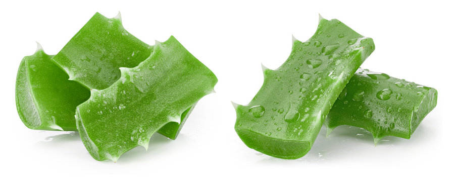 Aloe vera isolated on white