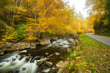 Fototapeta premium Little River Road Smoky Mountains in Fall