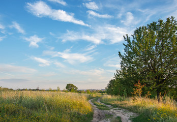ground road and summer sunny day