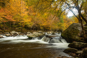 Obraz premium Little River in Fall in Smoky Mountains Tennessee