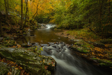 Little River in Autumn Smoky Mountains