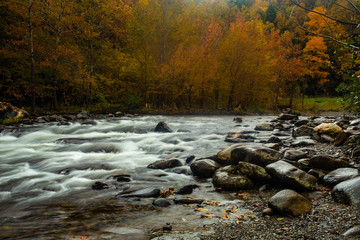 Fall Colors On Little River Smoky Mountains
