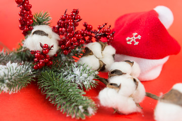 spruce branch, cotton branch, red berries, Christmas decor, red background, Santa's red hat closeup