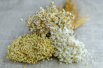 Decoration concept. A bouquets of various dried wild flowers.