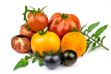 Decorative tomatoes of orange, red and purple color with green leaves isolated on a white background.