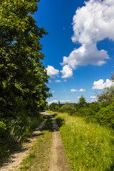 Beautiful view near Zulling-Bavaria-Germany