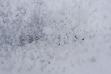 Abstract background of melting snow structure. Top view.