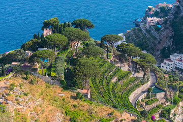 Vineyards among the hills along the Amalfi Coast, at Ravello, Italy.