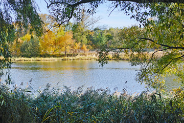 Morning on the river in early autumn