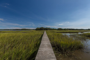 Fototapeta na wymiar Wadmalaw Island, South Carolina, USA