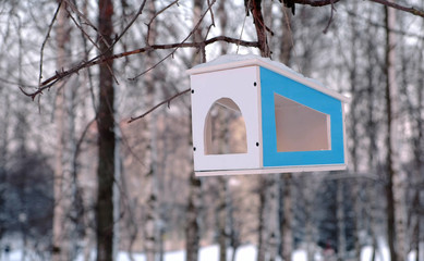 Wooden bird feeder on the tree in the winter Park.