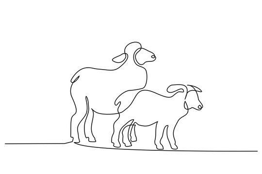 Continuous one line drawing. Sheep in modern minimalistic style. Vector illustration