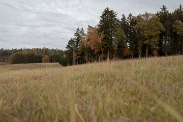 Herbsliche Landschaft in Bayern Hallertau