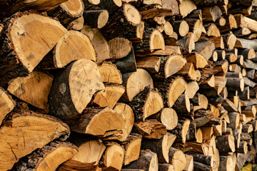 Wood logs pile pattern texture