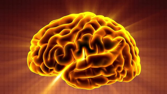 Loop science anatomy scan of human brain glowing with yellow