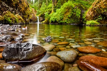 Tafelkleed Punch Bowl Falls langs de Eagle Creek Trail in Oregon met focus op de rotsen op de voorgrond © paulacobleigh