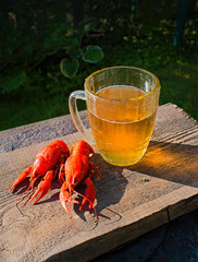 Glass of beer on a old wooden desk. Boiled crayfishes. Summer garden atmosphere.