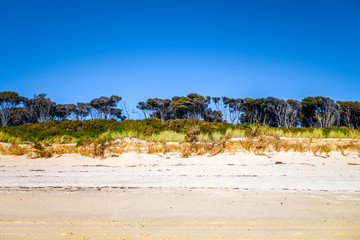 Fototapeta na wymiar Dunes in Abel Tasman National Park, New Zealand