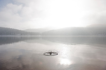 Schluchsee im Herbst mit Nebel und Wassertropfen
