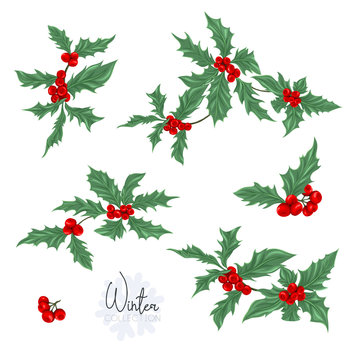 Set with a christmas plant