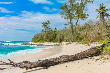 Insel Cousin, Seychellen