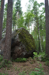 Huge boulder, stone in the forest, walk in the park